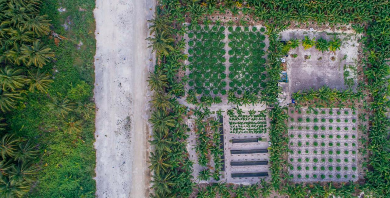 Sunview Residence Kaashidhoo ภายนอก รูปภาพ